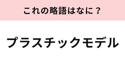 「プラスチックモデル」の略語は？作りはじめたら止まらない！