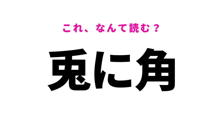 【漢字クイズ】「兎に角」はなんて読む?会話でも使うフレーズ!