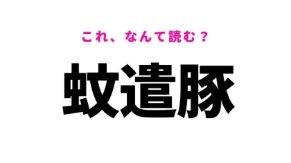 【蚊遣豚】はなんて読む？夏によく見かけるものを表す漢字！