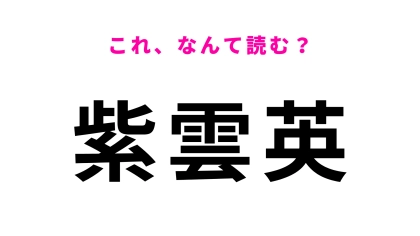 【紫雲英】はなんて読む？誰もが知っている花！