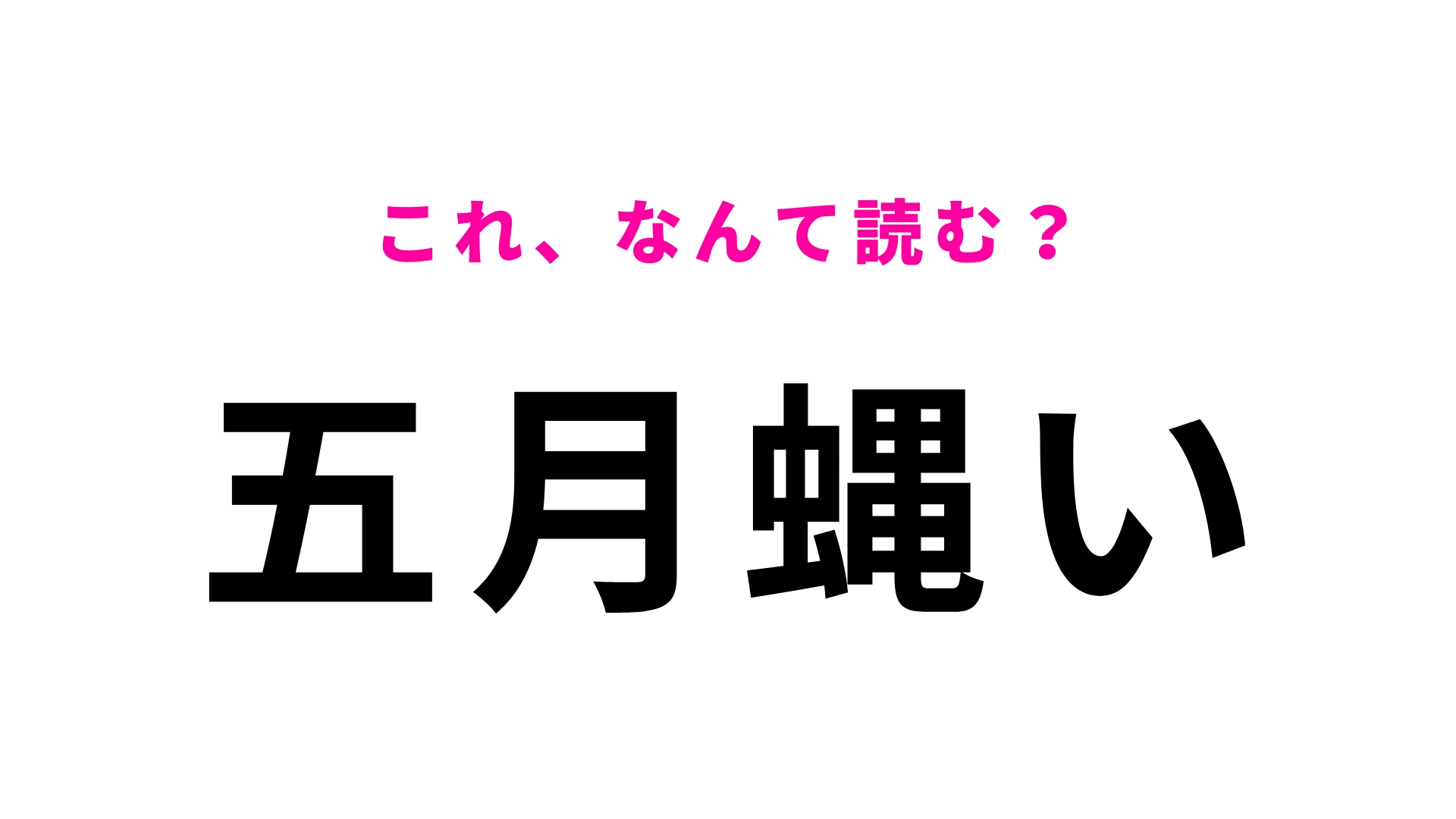 【漢字クイズ】「五月蝿い」はなんて読む?「う」から始まる形容詞です!