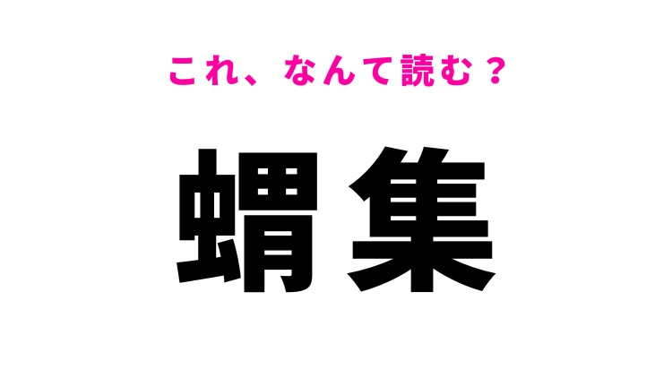 【蝟集】はなんて読む？1か所に集まることを表す漢字！