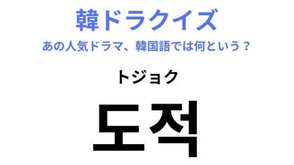 【韓ドラ】「도적（トジョク）」を訳すと？邦題と発音が激似だから簡単かも…！