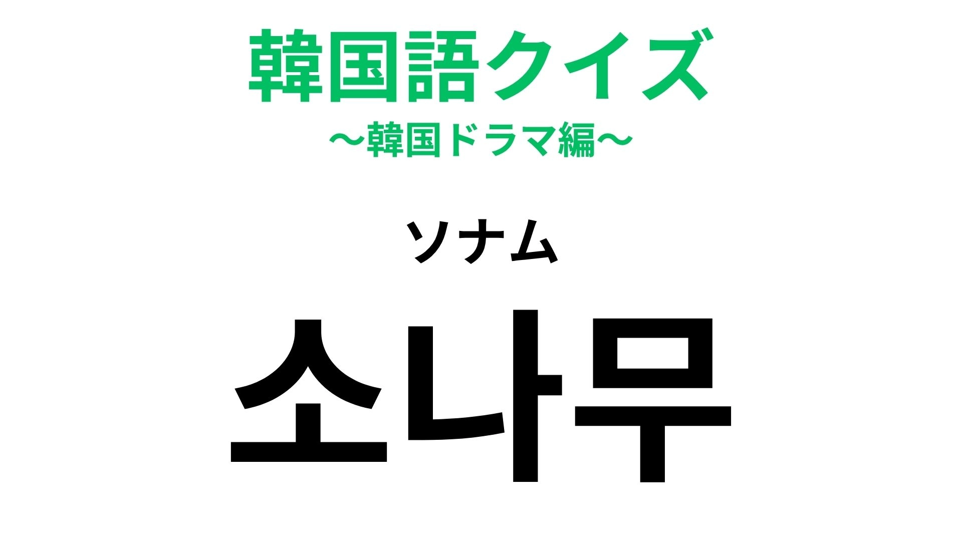 【韓国語クイズ】「소나무（ソナム）」の意味は？推しが変わらない人のこと！