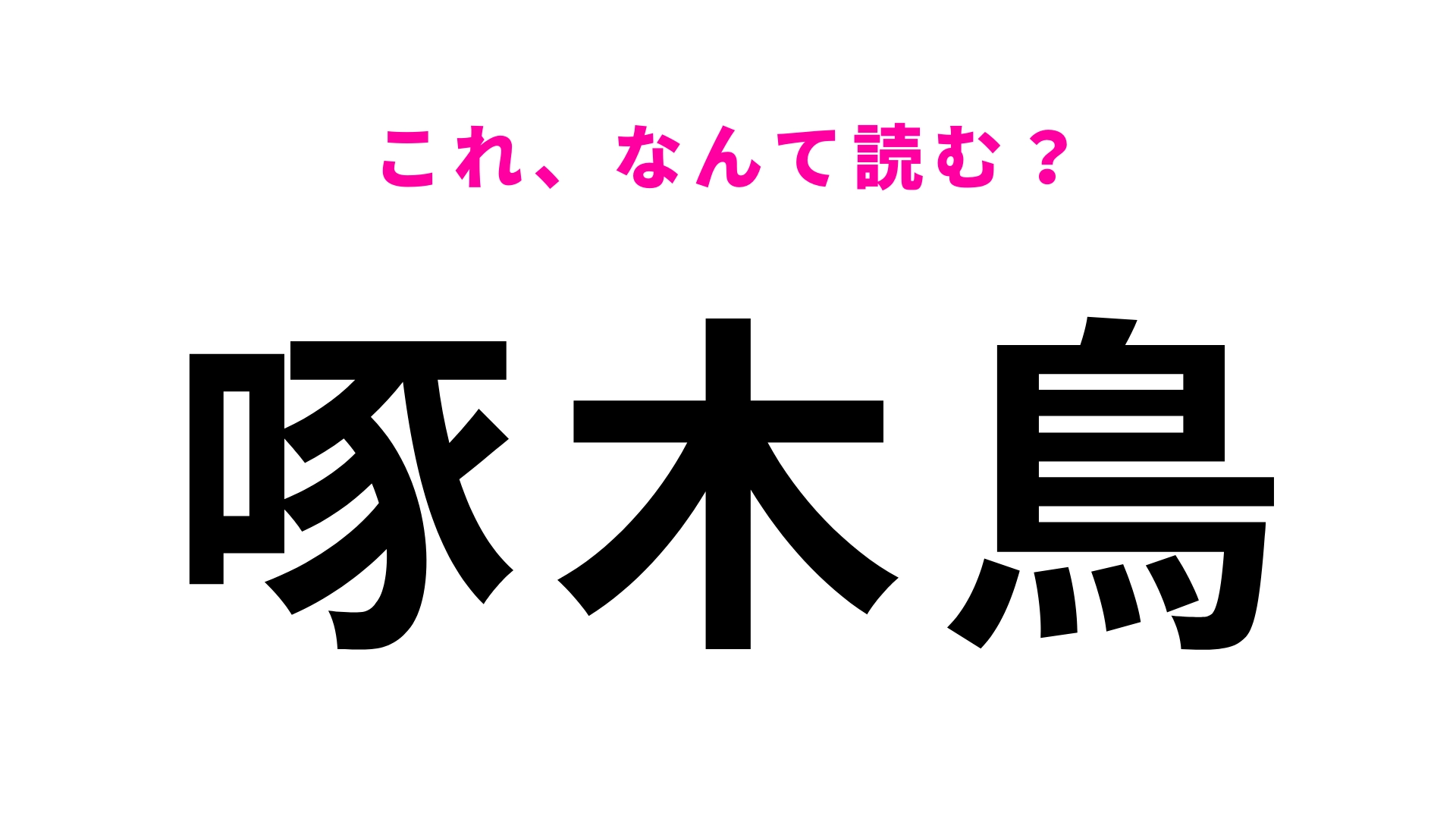 【漢字クイズ】「啄木鳥」はなんて読む?“つつく”鳥といえば…?