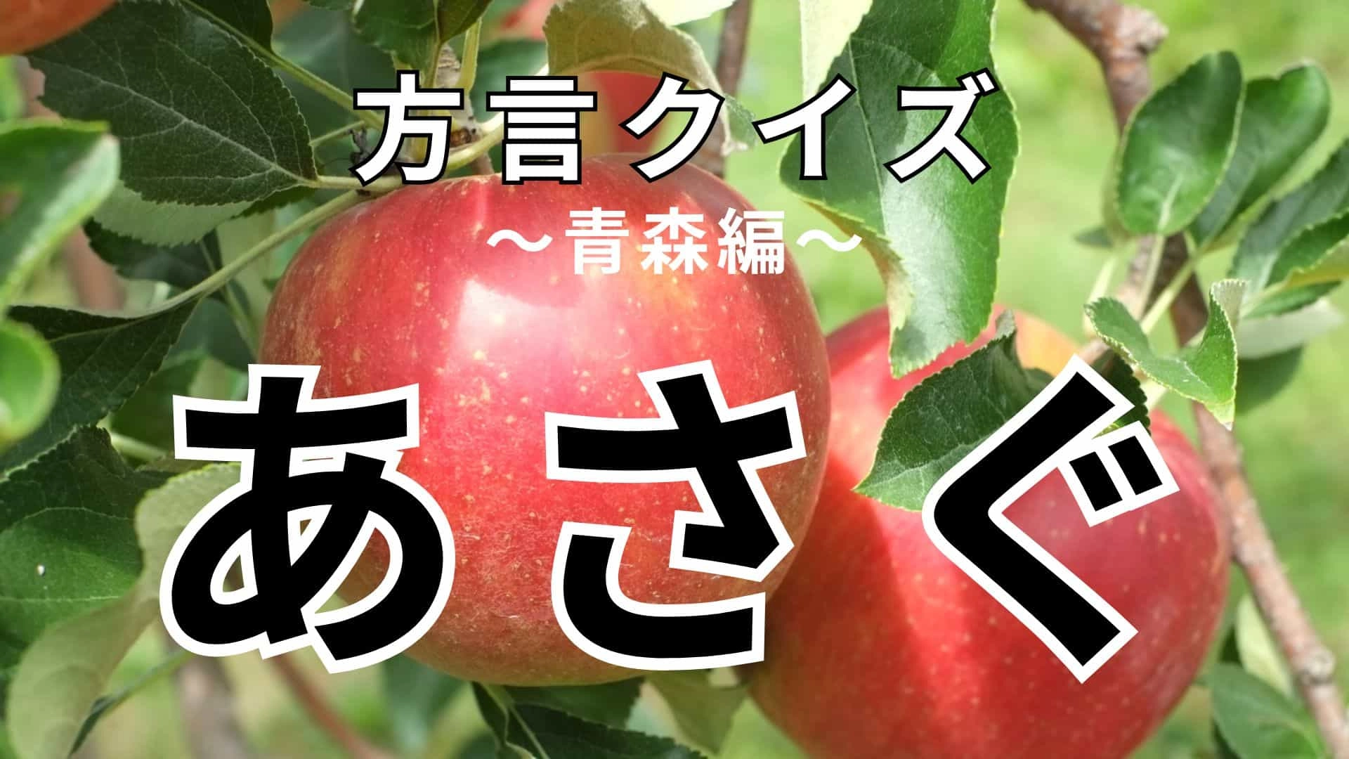 「あさぐ」の意味は?あなたも毎日行う行動!【方言クイズ】