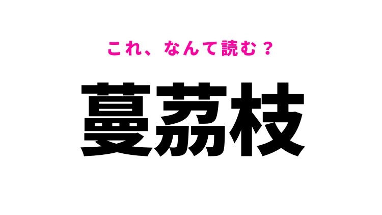 【蔓茘枝】はなんて読む？誰もが知っている食べ物！