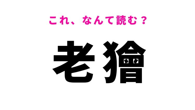 【老獪】はなんて読む？「ずるい」ことを表す漢字！