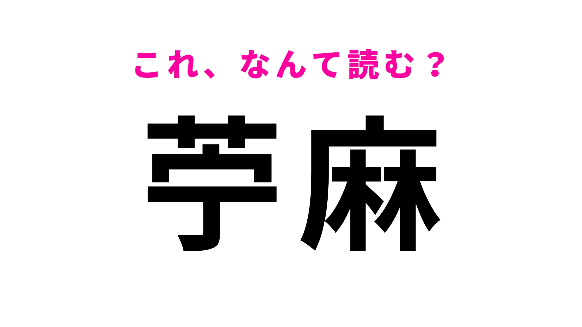 【漢字クイズ】「苧麻」はなんて読む？繊維につかう植物の名前！