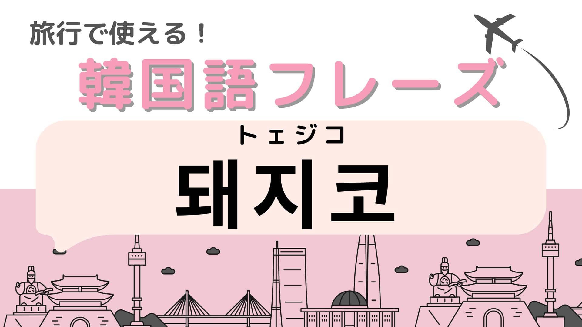 「돼지코（トェジコ）」の意味は？韓国旅行の際に絶対に持って行くもの…！