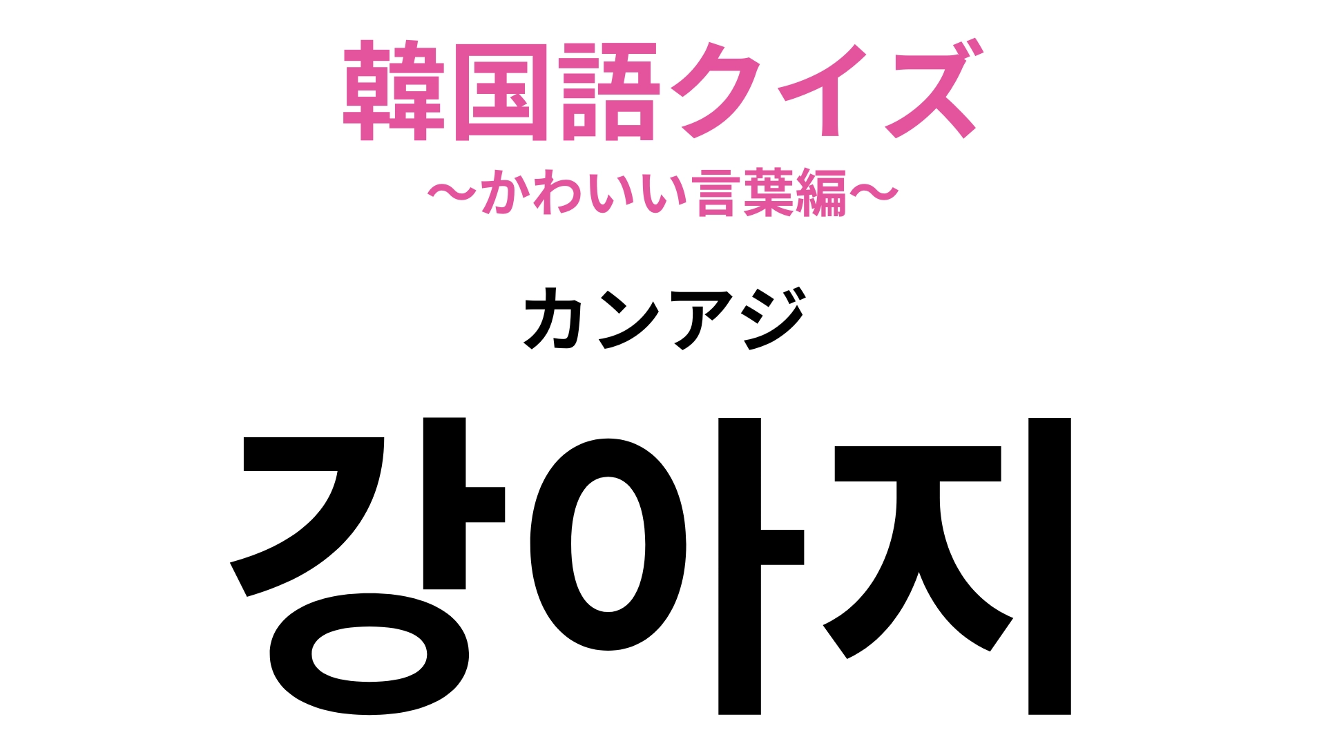「강아지（カンアジ）」の意味は？ヒントは愛くるしすぎる生きものです♡【韓国語クイズ】