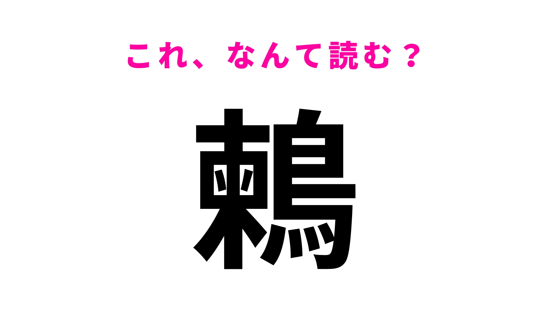 【漢字クイズ】「鶫」はなんて読む？くちばしが特徴的！