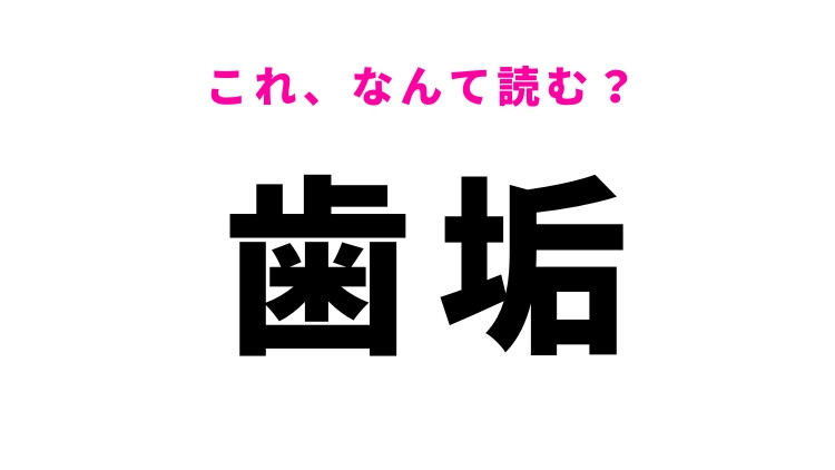【歯垢】はなんて読む？虫歯の原因にもなる！