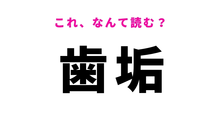 【歯垢】はなんて読む?虫歯の原因にもなる!