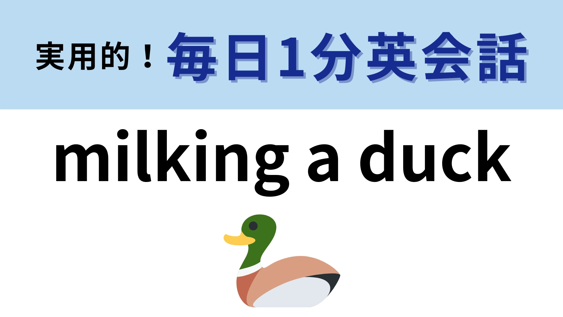 「milking a duck」の意味は？「アヒルの乳を搾る」ってどういうこと！？【1分英会話】