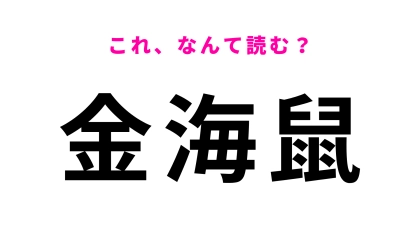 【金海鼠】はなんて読む？激ムズ問題！