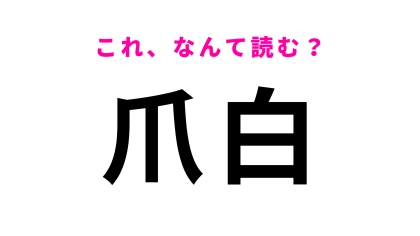 「爪白」はなんて読む？「つめしろ」ではありません！