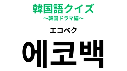 「에코백（エコベク）」の意味は？韓国旅行のお土産としても人気なアイテム！