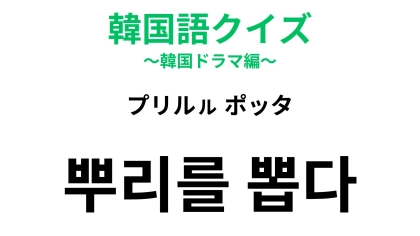 【韓国語クイズ】「뿌리를 뽑다（プリルㇽ ポッタ）」の意味は？「根」が登場する慣用句！