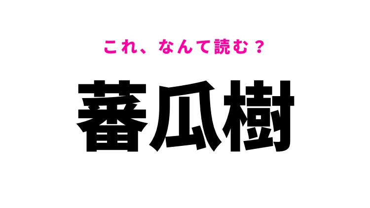 【漢字クイズ】「蕃瓜樹」はなんて読む？オレンジ色の南国フルーツを表す言葉！