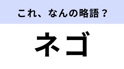 【略語クイズ】「ネゴ」はなんの略？ビジネス用語！