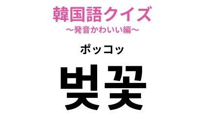 【韓国語クイズ】「벚꽃（ポッコッ）」の意味は？春に咲くお花！