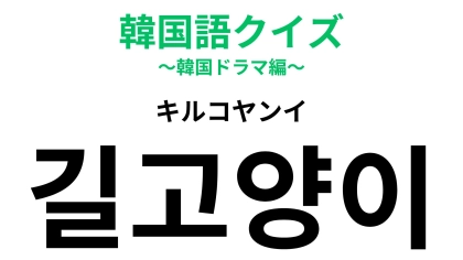 「길고양이（キルコヤンイ）」の意味は？直訳すると「道ネコ」…！？【韓国語クイズ】