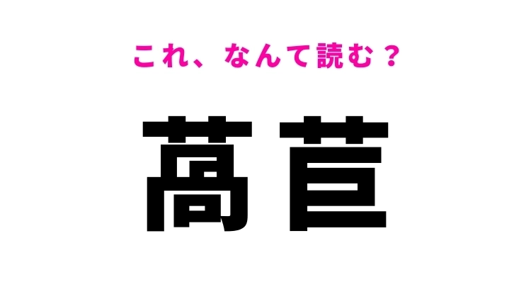 【漢字クイズ】「萵苣」はなんて読む?ある野菜を表す難読漢字!