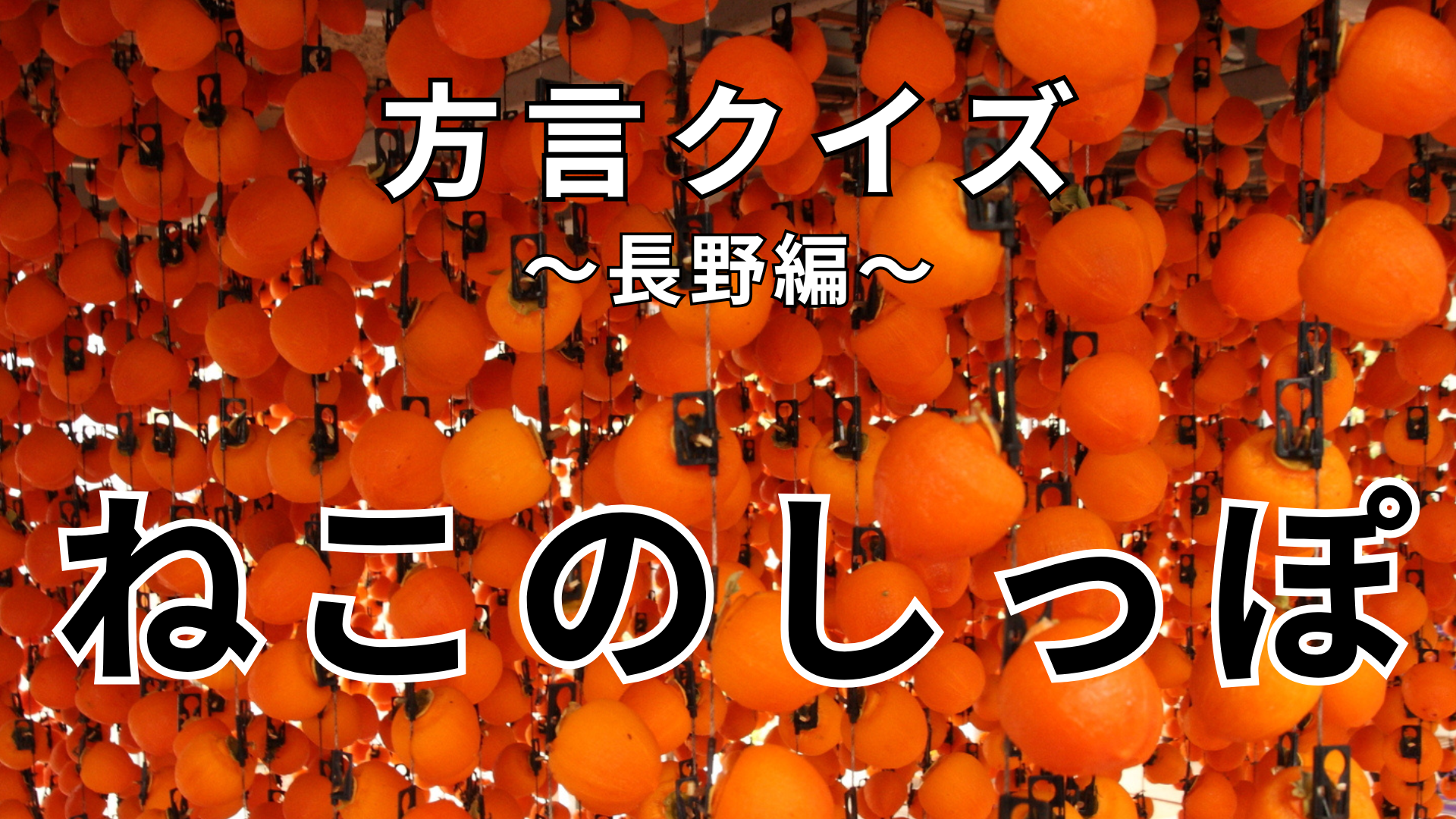 「ねこのしっぽ」の意味は？猫の尾とは関係ありません！【方言クイズ】