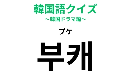 「부캐（プケ）」の意味は？ゲーム用語から発展した流行語...！【韓国語クイズ】