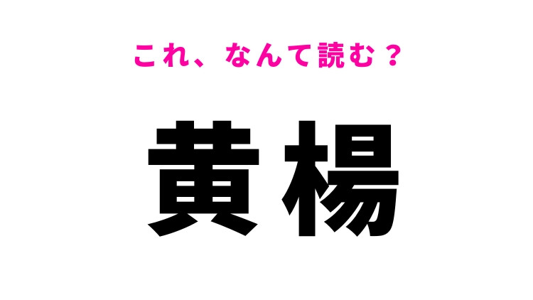 【黄楊】はなんて読む？ひらがな2文字の木の名前！