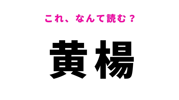 【黄楊】はなんて読む？ひらがな2文字の木の名前！