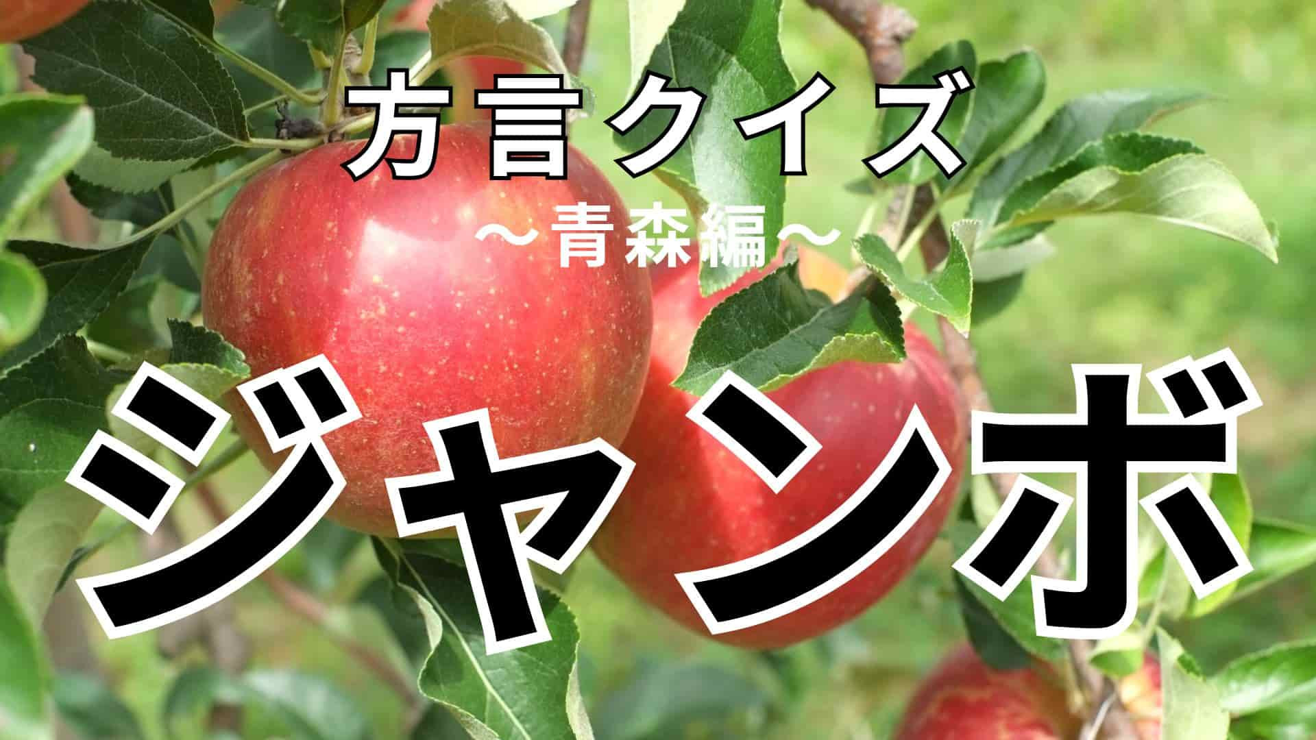 「ジャンボ」の意味は？激ムズすぎて想像もつかない！？【方言クイズ】