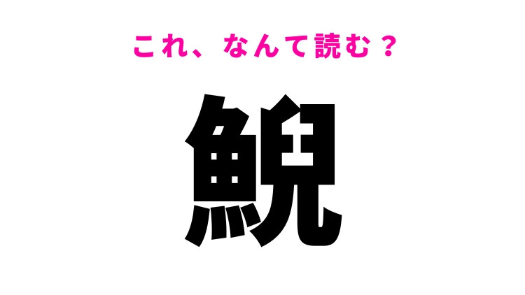 【鯢】はなんて読む？魚の名前を表す難読漢字！