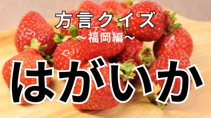 「はがいか」の意味は？「もうちょっとやったとい、はがいか」ってどういうこと？【方言クイズ】