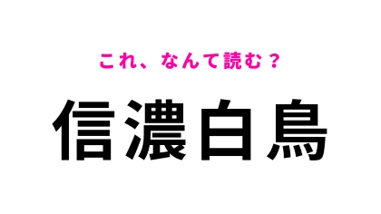 【漢字クイズ】「信濃白鳥」はなんて読む？意外にも読めない人多数！