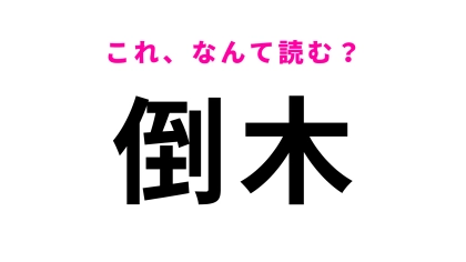 【倒木】はなんて読む？「とうもく」と読んでる人は大間違い！？