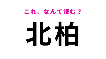 「北柏」はなんて読む？「柏」はひらがな3文字！