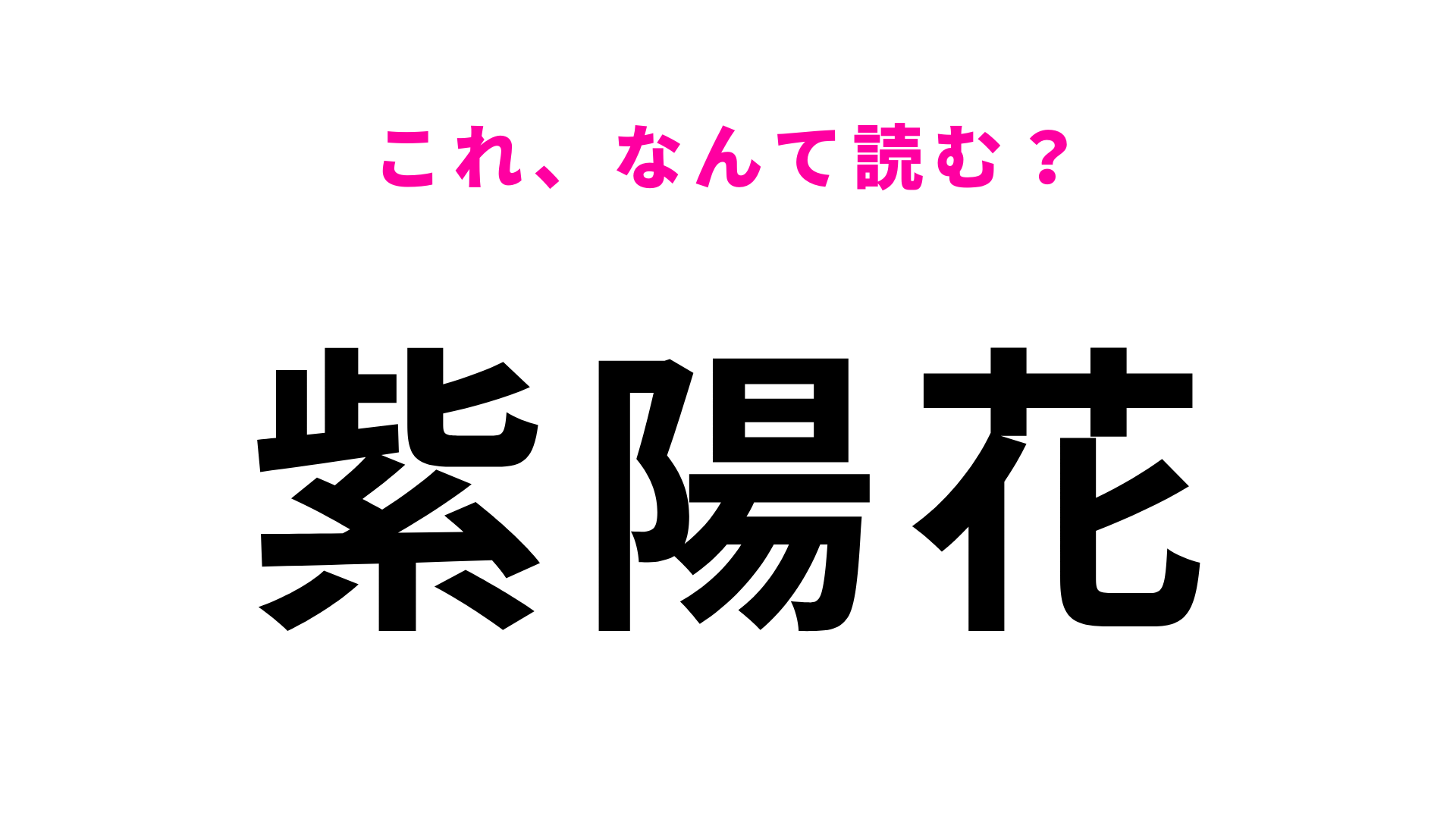 【紫陽花】はなんて読む？梅雨の時期に咲くあの花！漢字でこう書くんだ！