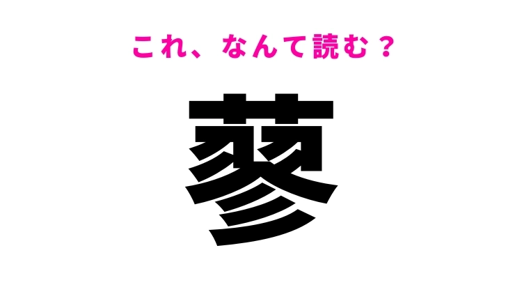 【漢字クイズ】「蓼」の読み方はなに?ことわざで知られる植物名!