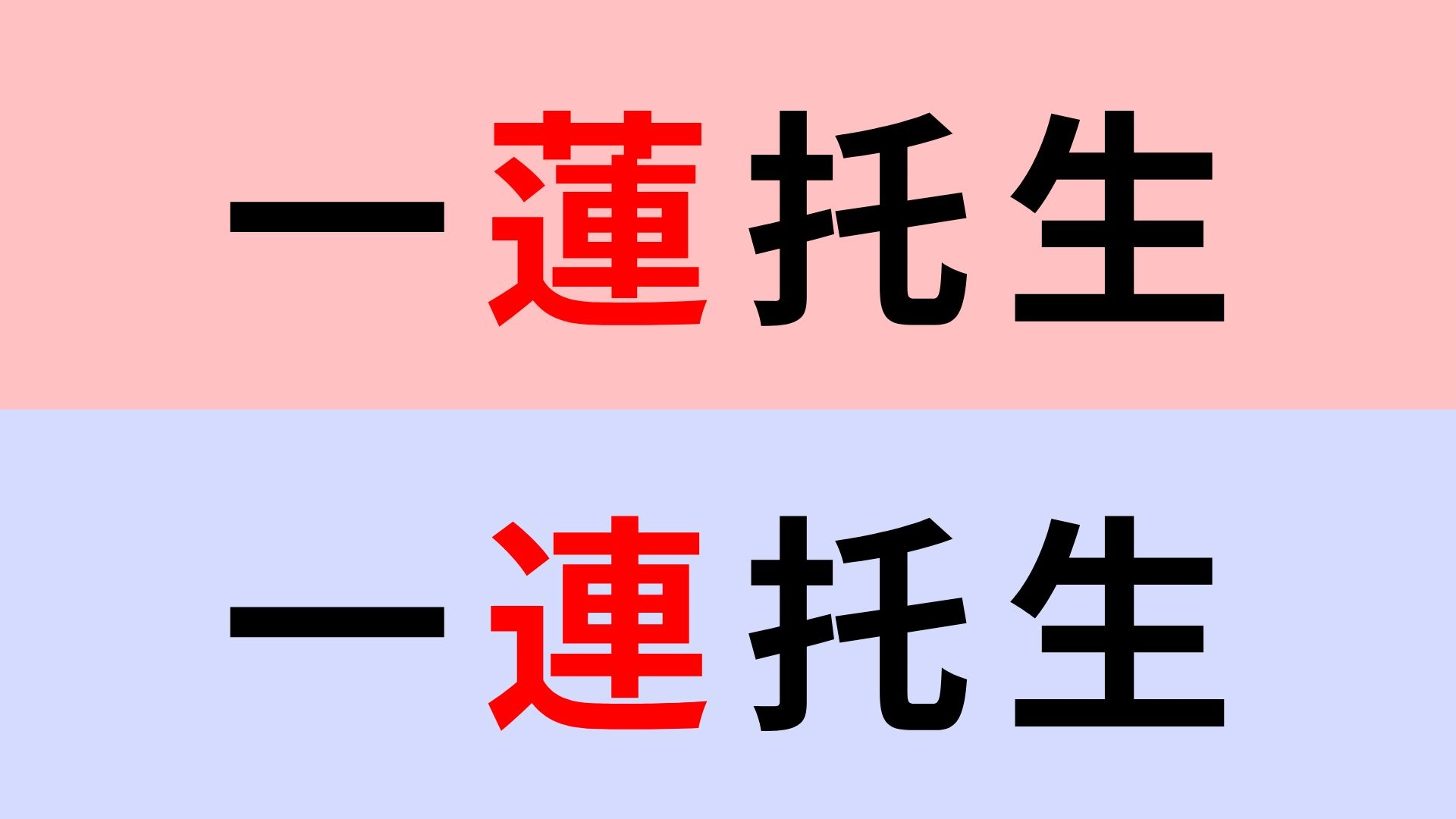【漢字クイズ】「一蓮托生」or「一連托生」正解はどっち?かなり間違えやすい!