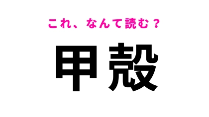 【甲殻】はなんて読む？「こうがい」「こうがら」と読んだ人は大間違い！？