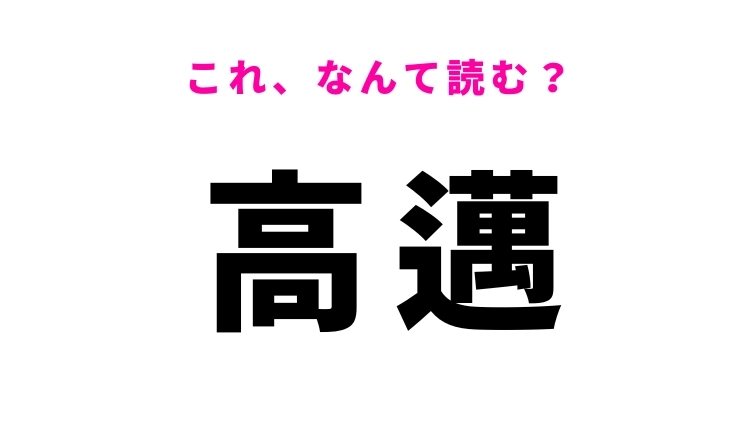 【高邁】はなんて読む？優れていることを表す難読漢字