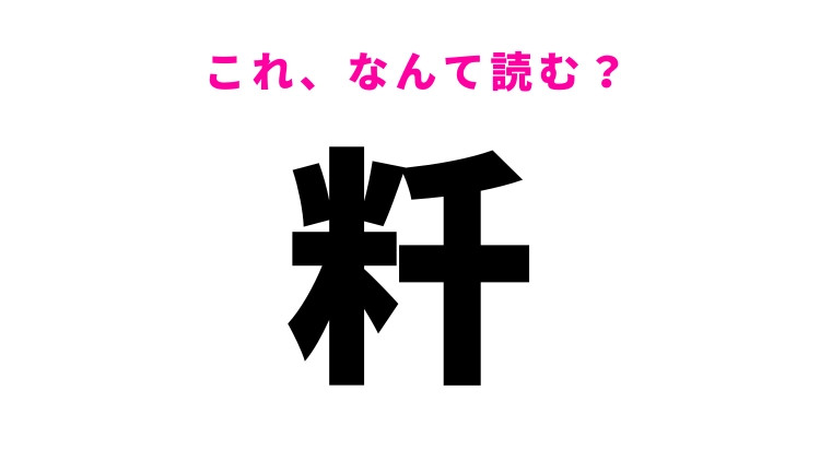 【粁】はなんて読む？単位を表す難読漢字！
