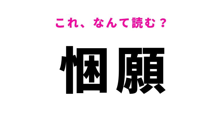 【悃願】はなんて読む？ひたすらお願いすることを意味する漢字