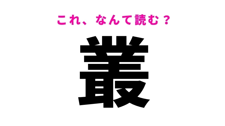 【叢】はなんて読む？ひらがな4文字の難読漢字