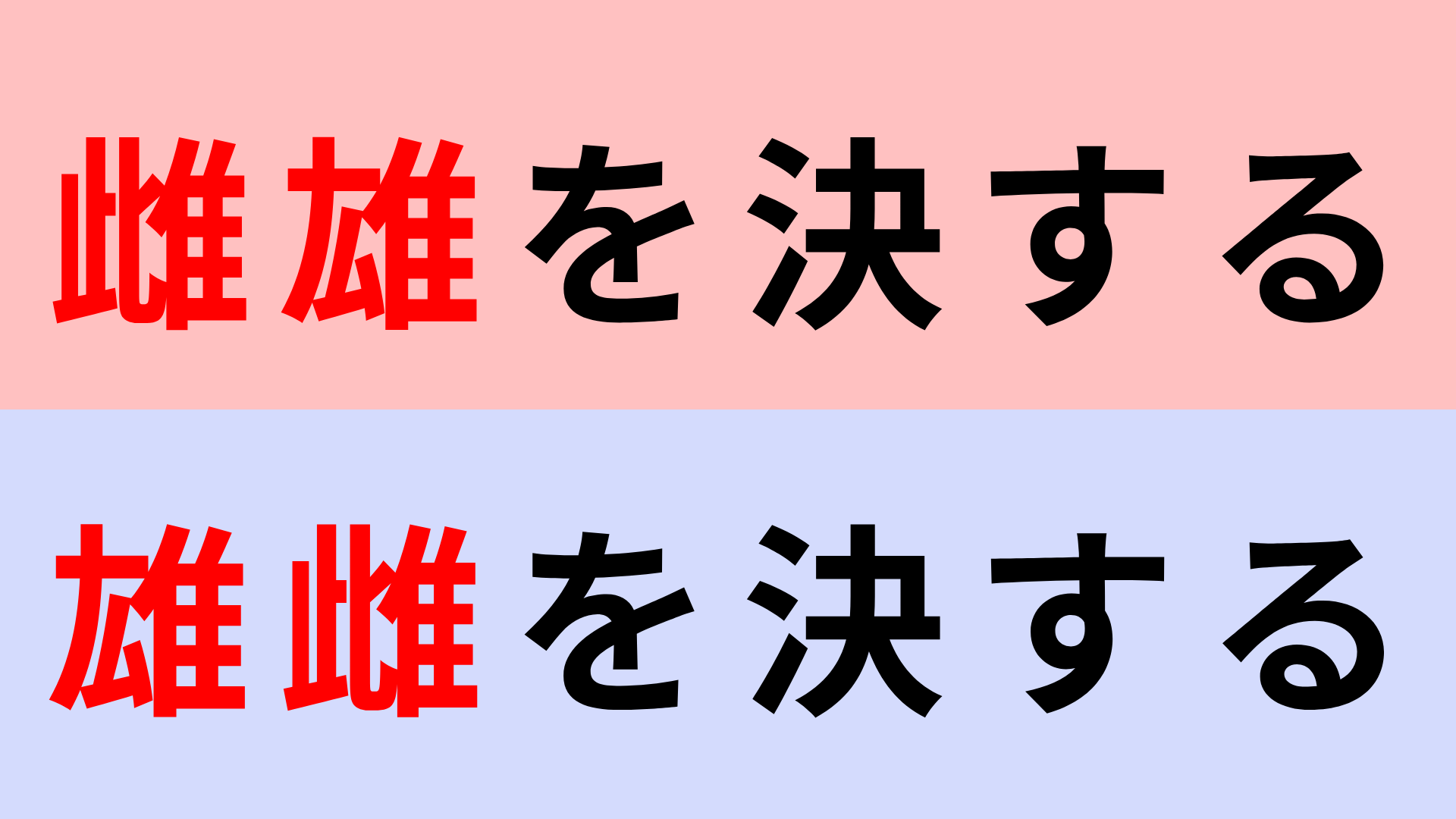 【漢字クイズ】「雌雄を決する」or「雄雌を決する」正解はどっち？この言葉聞いたことある...？