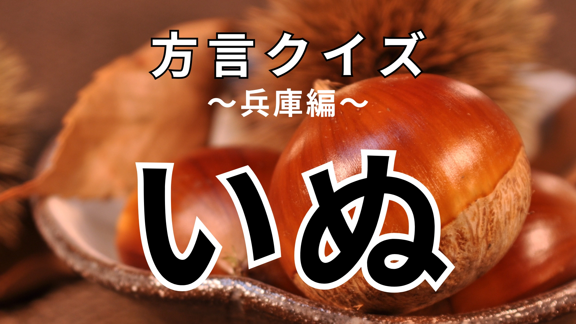 「いぬ」の意味は？動物の名前は関係ない！？【方言クイズ】