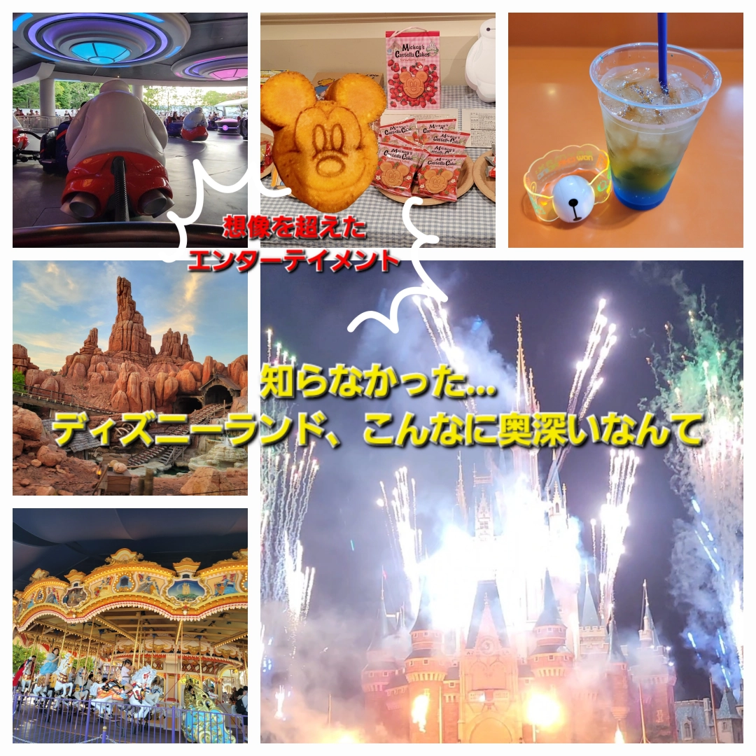 【予想外】ディズニーランドで新たな楽しみ方を発見！