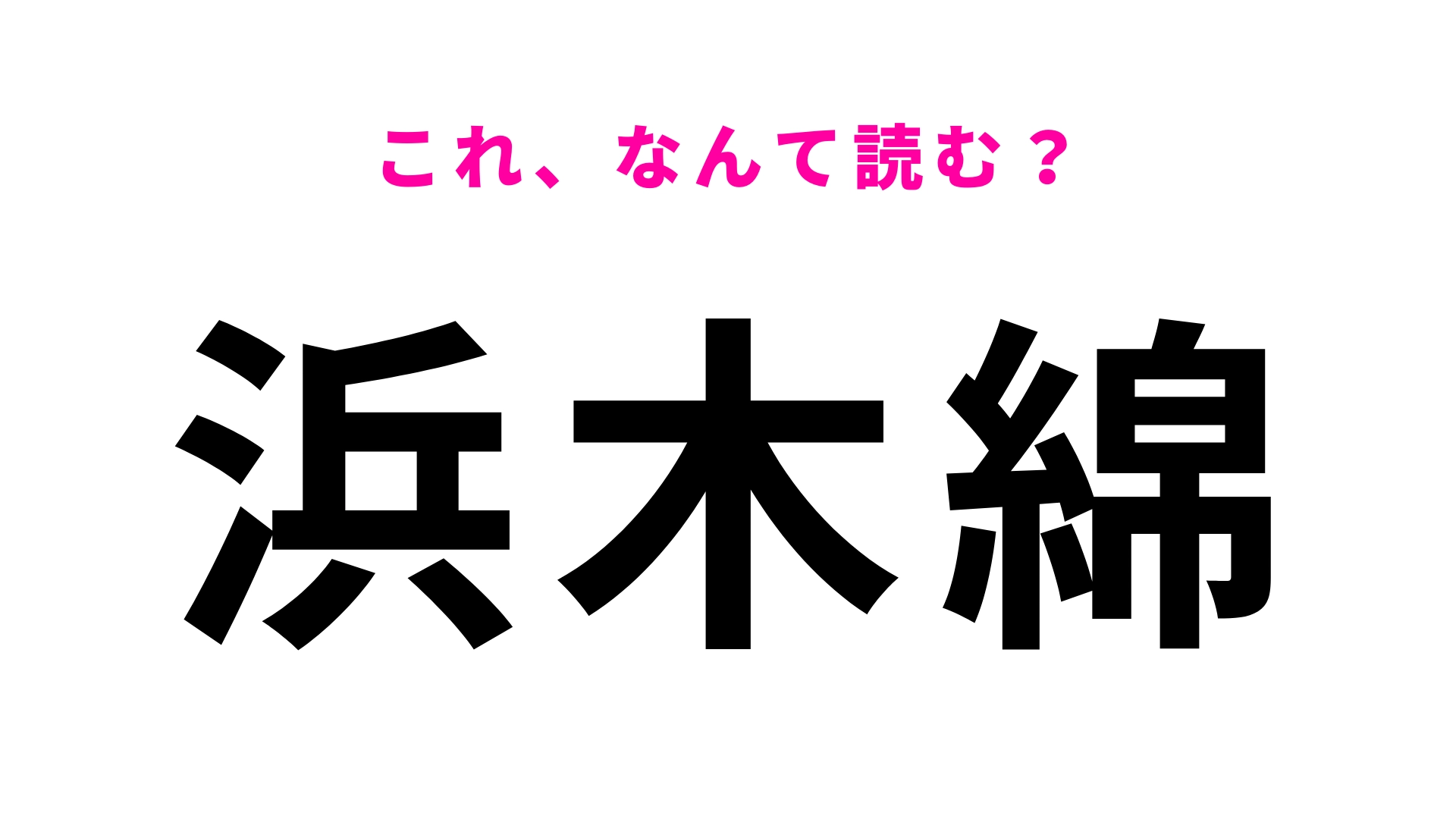 【漢字クイズ】「浜木綿」はなんて読む？海岸に生えている花の名前！